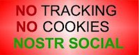 no tracking policy on pintura-adelante.es