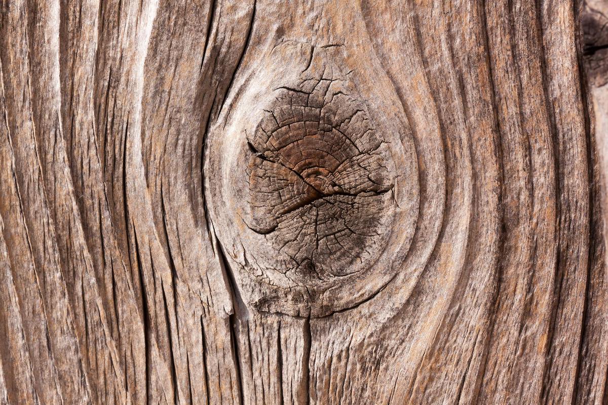 knot in wood